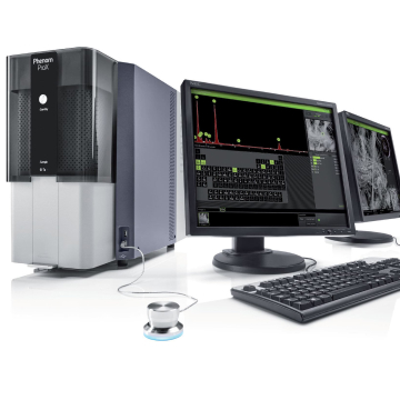 SEM-EDS Phenom ProX